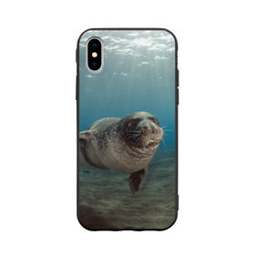 Чехол для Apple iPhone X силиконовый матовый с принтом Тюлень под водой в Санкт-Петербурге, Силикон | Печать на задней стороне чехла, без боковой панели | вода | дайвинг | жирный | косяк | красивые | милые | море | морская | морской котик | океан | плывет | подводный мир | прикольные | речная | рыба | рыбалка | стая | тюлень | усатый кот | фауна | чешуя