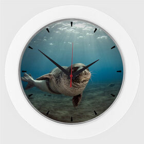Настенные часы с принтом Тюлень под водой в Санкт-Петербурге,  |  | вода | дайвинг | жирный | косяк | красивые | милые | море | морская | морской котик | океан | плывет | подводный мир | прикольные | речная | рыба | рыбалка | стая | тюлень | усатый кот | фауна | чешуя