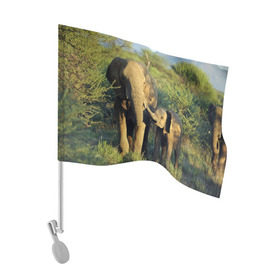Флаг для автомобиля с принтом Слониха и слоненок в природе в Санкт-Петербурге, 100% полиэстер | Размер: 30*21 см | африка | африканский | бивни | большой | гигант джунгли | зоопарк | индийский | индия | лесной великан | мамонт | огромный | саванна | сафари | серый | слон | слоненок | слониха | стадо | уши | хобот