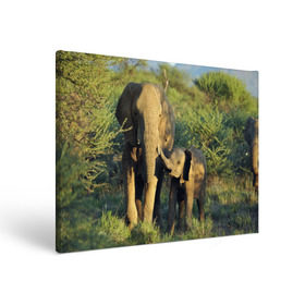 Холст прямоугольный с принтом Слониха и слоненок в природе в Санкт-Петербурге, 100% ПВХ |  | африка | африканский | бивни | большой | гигант джунгли | зоопарк | индийский | индия | лесной великан | мамонт | огромный | саванна | сафари | серый | слон | слоненок | слониха | стадо | уши | хобот