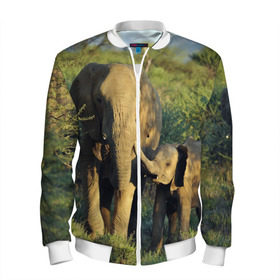 Мужской бомбер 3D с принтом Слониха и слоненок в природе в Санкт-Петербурге, 100% полиэстер | застегивается на молнию, по бокам два кармана без застежек, по низу бомбера и на воротнике - эластичная резинка | африка | африканский | бивни | большой | гигант джунгли | зоопарк | индийский | индия | лесной великан | мамонт | огромный | саванна | сафари | серый | слон | слоненок | слониха | стадо | уши | хобот