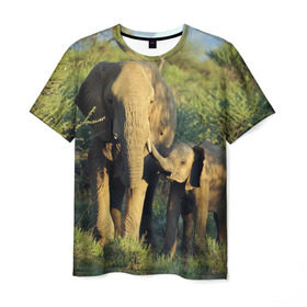 Мужская футболка 3D с принтом Слониха и слоненок в природе в Санкт-Петербурге, 100% полиэфир | прямой крой, круглый вырез горловины, длина до линии бедер | африка | африканский | бивни | большой | гигант джунгли | зоопарк | индийский | индия | лесной великан | мамонт | огромный | саванна | сафари | серый | слон | слоненок | слониха | стадо | уши | хобот