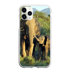 Чехол для iPhone 11 Pro матовый с принтом Слониха и слоненок в природе в Санкт-Петербурге, Силикон |  | африка | африканский | бивни | большой | гигант джунгли | зоопарк | индийский | индия | лесной великан | мамонт | огромный | саванна | сафари | серый | слон | слоненок | слониха | стадо | уши | хобот