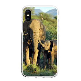 Чехол для iPhone XS Max матовый с принтом Слониха и слоненок в природе в Санкт-Петербурге, Силикон | Область печати: задняя сторона чехла, без боковых панелей | африка | африканский | бивни | большой | гигант джунгли | зоопарк | индийский | индия | лесной великан | мамонт | огромный | саванна | сафари | серый | слон | слоненок | слониха | стадо | уши | хобот