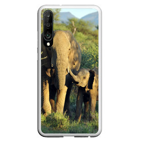 Чехол для Honor P30 с принтом Слониха и слоненок в природе в Санкт-Петербурге, Силикон | Область печати: задняя сторона чехла, без боковых панелей | африка | африканский | бивни | большой | гигант джунгли | зоопарк | индийский | индия | лесной великан | мамонт | огромный | саванна | сафари | серый | слон | слоненок | слониха | стадо | уши | хобот