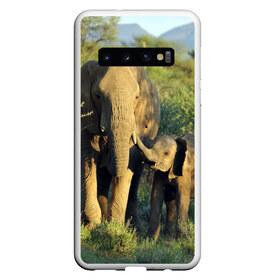 Чехол для Samsung Galaxy S10 с принтом Слониха и слоненок в природе в Санкт-Петербурге, Силикон | Область печати: задняя сторона чехла, без боковых панелей | Тематика изображения на принте: африка | африканский | бивни | большой | гигант джунгли | зоопарк | индийский | индия | лесной великан | мамонт | огромный | саванна | сафари | серый | слон | слоненок | слониха | стадо | уши | хобот