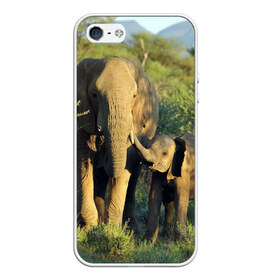 Чехол для iPhone 5/5S матовый с принтом Слониха и слоненок в природе в Санкт-Петербурге, Силикон | Область печати: задняя сторона чехла, без боковых панелей | Тематика изображения на принте: африка | африканский | бивни | большой | гигант джунгли | зоопарк | индийский | индия | лесной великан | мамонт | огромный | саванна | сафари | серый | слон | слоненок | слониха | стадо | уши | хобот