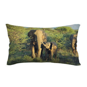 Подушка 3D антистресс с принтом Слониха и слоненок в природе в Санкт-Петербурге, наволочка — 100% полиэстер, наполнитель — вспененный полистирол | состоит из подушки и наволочки на молнии | африка | африканский | бивни | большой | гигант джунгли | зоопарк | индийский | индия | лесной великан | мамонт | огромный | саванна | сафари | серый | слон | слоненок | слониха | стадо | уши | хобот