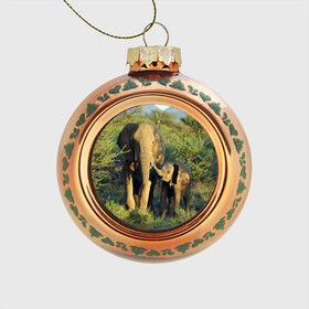 Стеклянный ёлочный шар с принтом Слониха и слоненок в природе в Санкт-Петербурге, Стекло | Диаметр: 80 мм | африка | африканский | бивни | большой | гигант джунгли | зоопарк | индийский | индия | лесной великан | мамонт | огромный | саванна | сафари | серый | слон | слоненок | слониха | стадо | уши | хобот