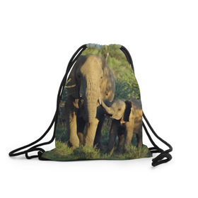 Рюкзак-мешок 3D с принтом Слониха и слоненок в природе в Санкт-Петербурге, 100% полиэстер | плотность ткани — 200 г/м2, размер — 35 х 45 см; лямки — толстые шнурки, застежка на шнуровке, без карманов и подкладки | Тематика изображения на принте: африка | африканский | бивни | большой | гигант джунгли | зоопарк | индийский | индия | лесной великан | мамонт | огромный | саванна | сафари | серый | слон | слоненок | слониха | стадо | уши | хобот