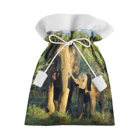 Подарочный 3D мешок с принтом Слониха и слоненок в природе в Санкт-Петербурге, 100% полиэстер | Размер: 29*39 см | африка | африканский | бивни | большой | гигант джунгли | зоопарк | индийский | индия | лесной великан | мамонт | огромный | саванна | сафари | серый | слон | слоненок | слониха | стадо | уши | хобот