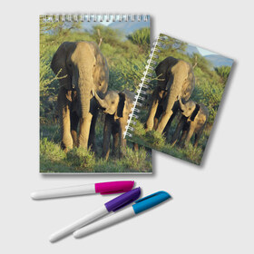 Блокнот с принтом Слониха и слоненок в природе в Санкт-Петербурге, 100% бумага | 48 листов, плотность листов — 60 г/м2, плотность картонной обложки — 250 г/м2. Листы скреплены удобной пружинной спиралью. Цвет линий — светло-серый
 | Тематика изображения на принте: африка | африканский | бивни | большой | гигант джунгли | зоопарк | индийский | индия | лесной великан | мамонт | огромный | саванна | сафари | серый | слон | слоненок | слониха | стадо | уши | хобот