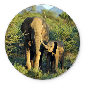 Коврик круглый с принтом Слониха и слоненок в природе в Санкт-Петербурге, резина и полиэстер | круглая форма, изображение наносится на всю лицевую часть | африка | африканский | бивни | большой | гигант джунгли | зоопарк | индийский | индия | лесной великан | мамонт | огромный | саванна | сафари | серый | слон | слоненок | слониха | стадо | уши | хобот