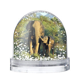 Снежный шар с принтом Слониха и слоненок в природе в Санкт-Петербурге, Пластик | Изображение внутри шара печатается на глянцевой фотобумаге с двух сторон | африка | африканский | бивни | большой | гигант джунгли | зоопарк | индийский | индия | лесной великан | мамонт | огромный | саванна | сафари | серый | слон | слоненок | слониха | стадо | уши | хобот