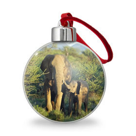 Ёлочный шар с принтом Слониха и слоненок в природе в Санкт-Петербурге, Пластик | Диаметр: 77 мм | африка | африканский | бивни | большой | гигант джунгли | зоопарк | индийский | индия | лесной великан | мамонт | огромный | саванна | сафари | серый | слон | слоненок | слониха | стадо | уши | хобот