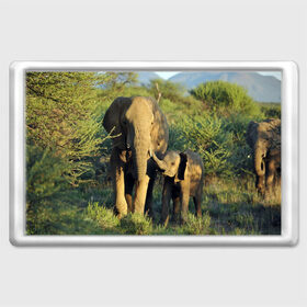 Магнит 45*70 с принтом Слониха и слоненок в природе в Санкт-Петербурге, Пластик | Размер: 78*52 мм; Размер печати: 70*45 | африка | африканский | бивни | большой | гигант джунгли | зоопарк | индийский | индия | лесной великан | мамонт | огромный | саванна | сафари | серый | слон | слоненок | слониха | стадо | уши | хобот