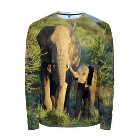 Мужской лонгслив 3D с принтом Слониха и слоненок в природе в Санкт-Петербурге, 100% полиэстер | длинные рукава, круглый вырез горловины, полуприлегающий силуэт | Тематика изображения на принте: африка | африканский | бивни | большой | гигант джунгли | зоопарк | индийский | индия | лесной великан | мамонт | огромный | саванна | сафари | серый | слон | слоненок | слониха | стадо | уши | хобот