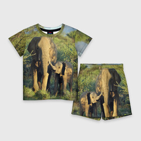 Детский костюм с шортами 3D с принтом Слониха и слоненок в природе в Санкт-Петербурге,  |  | африка | африканский | бивни | большой | гигант джунгли | зоопарк | индийский | индия | лесной великан | мамонт | огромный | саванна | сафари | серый | слон | слоненок | слониха | стадо | уши | хобот