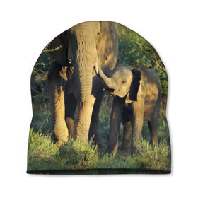 Шапка 3D с принтом Слониха и слоненок в природе в Санкт-Петербурге, 100% полиэстер | универсальный размер, печать по всей поверхности изделия | африка | африканский | бивни | большой | гигант джунгли | зоопарк | индийский | индия | лесной великан | мамонт | огромный | саванна | сафари | серый | слон | слоненок | слониха | стадо | уши | хобот