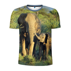 Мужская футболка 3D спортивная с принтом Слониха и слоненок в природе в Санкт-Петербурге, 100% полиэстер с улучшенными характеристиками | приталенный силуэт, круглая горловина, широкие плечи, сужается к линии бедра | Тематика изображения на принте: африка | африканский | бивни | большой | гигант джунгли | зоопарк | индийский | индия | лесной великан | мамонт | огромный | саванна | сафари | серый | слон | слоненок | слониха | стадо | уши | хобот