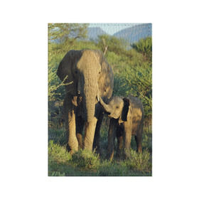 Обложка для паспорта матовая кожа с принтом Слониха и слоненок в природе в Санкт-Петербурге, натуральная матовая кожа | размер 19,3 х 13,7 см; прозрачные пластиковые крепления | Тематика изображения на принте: африка | африканский | бивни | большой | гигант джунгли | зоопарк | индийский | индия | лесной великан | мамонт | огромный | саванна | сафари | серый | слон | слоненок | слониха | стадо | уши | хобот