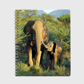 Тетрадь с принтом Слониха и слоненок в природе в Санкт-Петербурге, 100% бумага | 48 листов, плотность листов — 60 г/м2, плотность картонной обложки — 250 г/м2. Листы скреплены сбоку удобной пружинной спиралью. Уголки страниц и обложки скругленные. Цвет линий — светло-серый
 | африка | африканский | бивни | большой | гигант джунгли | зоопарк | индийский | индия | лесной великан | мамонт | огромный | саванна | сафари | серый | слон | слоненок | слониха | стадо | уши | хобот