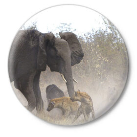 Значок с принтом Гиены охотятся на слона в Санкт-Петербурге,  металл | круглая форма, металлическая застежка в виде булавки | африка | африканский | бивни | большой | гигант джунгли | гиены | индийский | индия | лесной великан | мамонт | огромный | охота | саванна | сафари | серый | слон | слониха | стадо | уши | хобот
