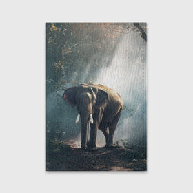 Обложка для паспорта матовая кожа с принтом Слон в лесу в Санкт-Петербурге, натуральная матовая кожа | размер 19,3 х 13,7 см; прозрачные пластиковые крепления | африка | африканский | бивни | большой | гигант джунгли | зоопарк | индийский | индия | лесной великан | мамонт | огромный | саванна | сафари | серый | слон | слоненок | слониха | стадо | уши | хобот