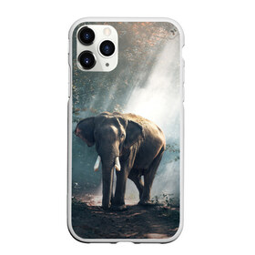Чехол для iPhone 11 Pro матовый с принтом Слон в лесу в Санкт-Петербурге, Силикон |  | африка | африканский | бивни | большой | гигант джунгли | зоопарк | индийский | индия | лесной великан | мамонт | огромный | саванна | сафари | серый | слон | слоненок | слониха | стадо | уши | хобот