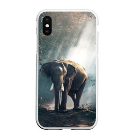 Чехол для iPhone XS Max матовый с принтом Слон в лесу в Санкт-Петербурге, Силикон | Область печати: задняя сторона чехла, без боковых панелей | африка | африканский | бивни | большой | гигант джунгли | зоопарк | индийский | индия | лесной великан | мамонт | огромный | саванна | сафари | серый | слон | слоненок | слониха | стадо | уши | хобот