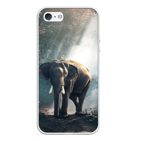Чехол для iPhone 5/5S матовый с принтом Слон в лесу в Санкт-Петербурге, Силикон | Область печати: задняя сторона чехла, без боковых панелей | африка | африканский | бивни | большой | гигант джунгли | зоопарк | индийский | индия | лесной великан | мамонт | огромный | саванна | сафари | серый | слон | слоненок | слониха | стадо | уши | хобот