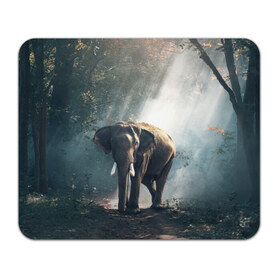 Коврик прямоугольный с принтом Слон в лесу в Санкт-Петербурге, натуральный каучук | размер 230 х 185 мм; запечатка лицевой стороны | Тематика изображения на принте: африка | африканский | бивни | большой | гигант джунгли | зоопарк | индийский | индия | лесной великан | мамонт | огромный | саванна | сафари | серый | слон | слоненок | слониха | стадо | уши | хобот