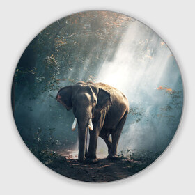 Коврик круглый с принтом Слон в лесу в Санкт-Петербурге, резина и полиэстер | круглая форма, изображение наносится на всю лицевую часть | Тематика изображения на принте: африка | африканский | бивни | большой | гигант джунгли | зоопарк | индийский | индия | лесной великан | мамонт | огромный | саванна | сафари | серый | слон | слоненок | слониха | стадо | уши | хобот