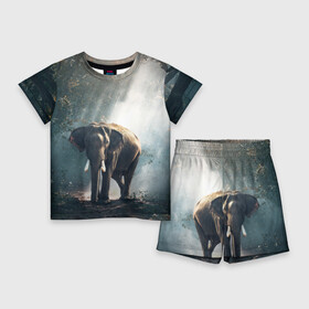 Детский костюм с шортами 3D с принтом Слон в лесу в Санкт-Петербурге,  |  | африка | африканский | бивни | большой | гигант джунгли | зоопарк | индийский | индия | лесной великан | мамонт | огромный | саванна | сафари | серый | слон | слоненок | слониха | стадо | уши | хобот