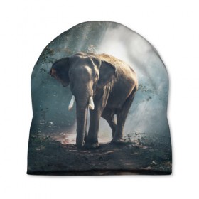 Шапка 3D с принтом Слон в лесу в Санкт-Петербурге, 100% полиэстер | универсальный размер, печать по всей поверхности изделия | африка | африканский | бивни | большой | гигант джунгли | зоопарк | индийский | индия | лесной великан | мамонт | огромный | саванна | сафари | серый | слон | слоненок | слониха | стадо | уши | хобот