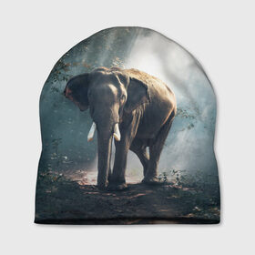 Шапка 3D с принтом Слон в лесу в Санкт-Петербурге, 100% полиэстер | универсальный размер, печать по всей поверхности изделия | Тематика изображения на принте: африка | африканский | бивни | большой | гигант джунгли | зоопарк | индийский | индия | лесной великан | мамонт | огромный | саванна | сафари | серый | слон | слоненок | слониха | стадо | уши | хобот