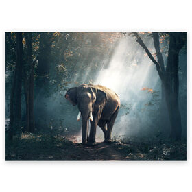 Поздравительная открытка с принтом Слон в лесу в Санкт-Петербурге, 100% бумага | плотность бумаги 280 г/м2, матовая, на обратной стороне линовка и место для марки
 | Тематика изображения на принте: африка | африканский | бивни | большой | гигант джунгли | зоопарк | индийский | индия | лесной великан | мамонт | огромный | саванна | сафари | серый | слон | слоненок | слониха | стадо | уши | хобот