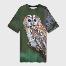 Платье-футболка 3D с принтом Сова в Санкт-Петербурге,  |  | глаза | клюв | когти | крылья | лес | летать | мудрая | мудрость | неясыть | ночная | ночь | охота | перья | полярная | почтовая | птица | серая | сова | совенок | сон | сыч | умная | филин | хищник