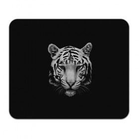 Коврик прямоугольный с принтом Тигр в Санкт-Петербурге, натуральный каучук | размер 230 х 185 мм; запечатка лицевой стороны | белый тигр | кошка | тигр