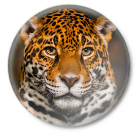 Значок с принтом Jaguar в Санкт-Петербурге,  металл | круглая форма, металлическая застежка в виде булавки | глаза | дикая кошка | кошка | леопард | сафари | хищник | ягуар