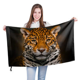 Флаг 3D с принтом Jaguar в Санкт-Петербурге, 100% полиэстер | плотность ткани — 95 г/м2, размер — 67 х 109 см. Принт наносится с одной стороны | глаза | дикая кошка | кошка | леопард | сафари | хищник | ягуар