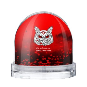 Водяной шар с принтом Twin Peaks в Санкт-Петербурге, Пластик | Изображение внутри шара печатается на глянцевой фотобумаге с двух сторон | twin peaks твин пикс | девид линч | лес | лора палмер | сова | туман