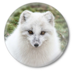 Значок с принтом White Fox в Санкт-Петербурге,  металл | круглая форма, металлическая застежка в виде булавки | Тематика изображения на принте: fox | red | лиса | лисенок | рыжая