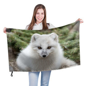 Флаг 3D с принтом White Fox в Санкт-Петербурге, 100% полиэстер | плотность ткани — 95 г/м2, размер — 67 х 109 см. Принт наносится с одной стороны | fox | red | лиса | лисенок | рыжая