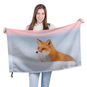 Флаг 3D с принтом Morning в Санкт-Петербурге, 100% полиэстер | плотность ткани — 95 г/м2, размер — 67 х 109 см. Принт наносится с одной стороны | fox | red | лиса | лисенок | рыжая