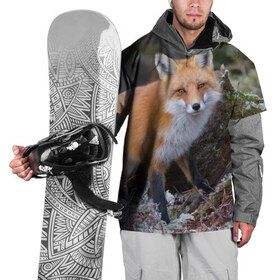 Накидка на куртку 3D с принтом Лес в Санкт-Петербурге, 100% полиэстер |  | fox | red | лиса | лисенок | рыжая