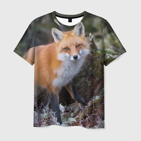 Мужская футболка 3D с принтом Лес в Санкт-Петербурге, 100% полиэфир | прямой крой, круглый вырез горловины, длина до линии бедер | Тематика изображения на принте: fox | red | лиса | лисенок | рыжая