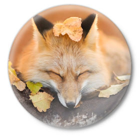 Значок с принтом Соня в Санкт-Петербурге,  металл | круглая форма, металлическая застежка в виде булавки | fox | red | лиса | лисенок | рыжая