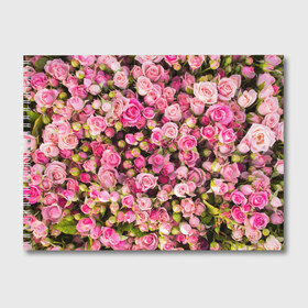 Альбом для рисования с принтом Розовый рай в Санкт-Петербурге, 100% бумага
 | матовая бумага, плотность 200 мг. | бутон | лепестки | роза | розовый | розочка | цветок | цветы