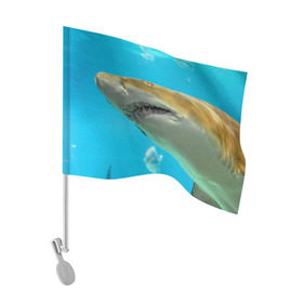 Флаг для автомобиля с принтом Тигровая акула в Санкт-Петербурге, 100% полиэстер | Размер: 30*21 см | Тематика изображения на принте: голубое море | океан | рыба